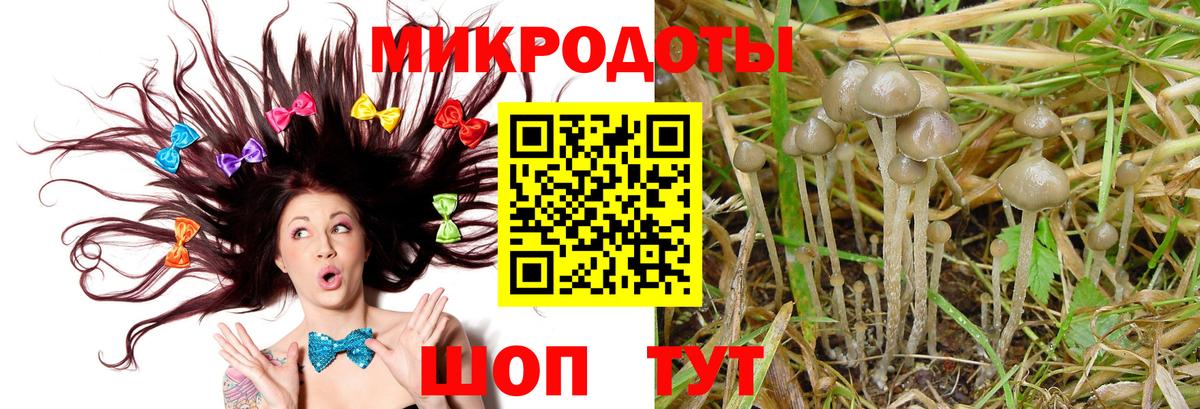 Северск  Галлюциногенные грибы Magic Shrooms  Галлюциногенные грибы ЛСД  Вход с VPN 