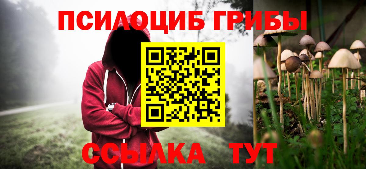 Галлюциногенные грибы MAGIC MUSHROOMS Северск